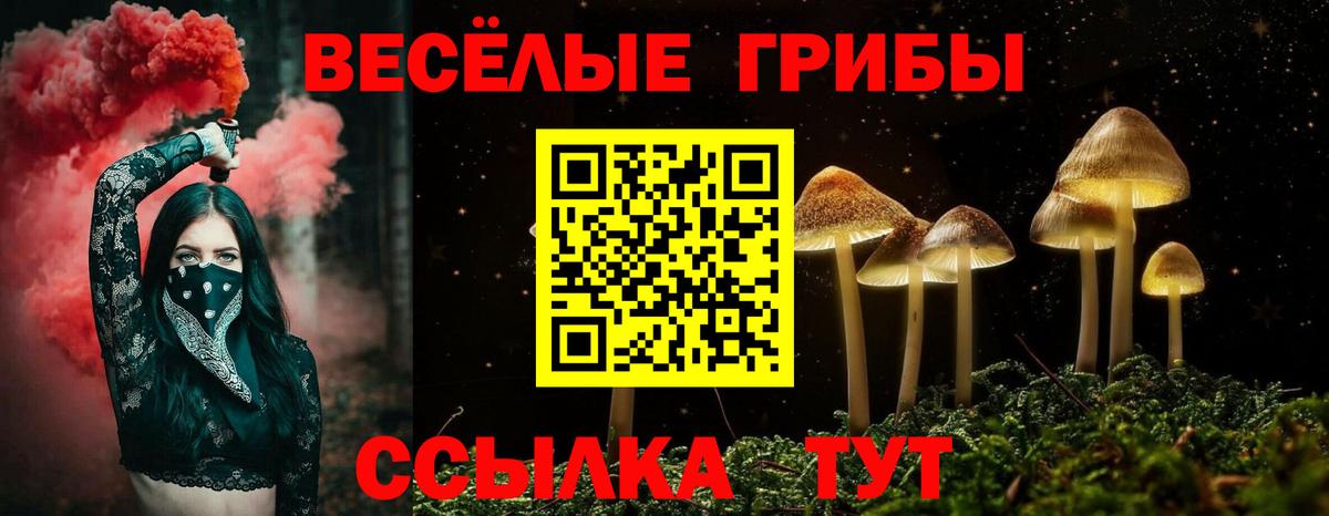 Галлюциногенные грибы Psilocybine cubensis Дмитров