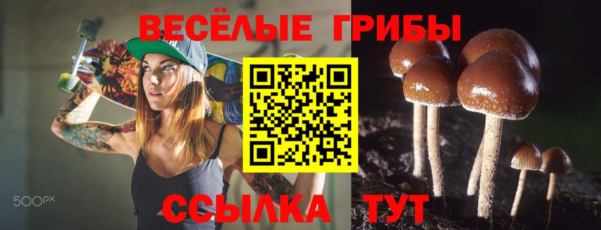 Псилоцибиновые грибы Psilocybe  где купить наркоту  Дмитров  Вход с VPN 